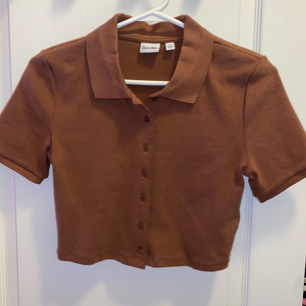 Aritzia Sunday Best button up shirt